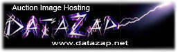 DataZap